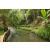 Team 54 / Raid l'Arbre Vert Amazones Bali - Trek