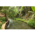 Team 54 / Raid l'Arbre Vert Amazones Bali - Trek