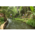 Team 71 / Raid l'Arbre Vert Amazones Bali - Trek