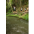 Team 20 / Raid l'Arbre Vert Amazones Bali - Trek