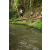 Team 20 / Raid l'Arbre Vert Amazones Bali - Trek