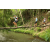 Team 03 / Raid l'Arbre Vert Amazones Bali - Trek