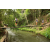 Team 09 / Raid l'Arbre Vert Amazones Bali - Trek