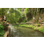 Team 32 / Raid l'Arbre Vert Amazones Bali - Trek