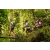Team 32 / Raid l'Arbre Vert Amazones Bali - Trek
