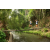 Team 37 / Raid l'Arbre Vert Amazones Bali - Trek