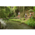 Team 70 / Raid l'Arbre Vert Amazones Bali - Trek