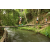 Team 69 / Raid l'Arbre Vert Amazones Bali - Trek