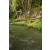 Team 08 / Raid l'Arbre Vert Amazones Bali - Trek