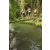 Team 35 / Raid l'Arbre Vert Amazones Bali - Trek