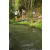 Team 17 / Raid l'Arbre Vert Amazones Bali - Trek