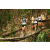 Team 39 / Raid l'Arbre Vert Amazones Bali - Trek