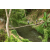 Team 10 / Raid l'Arbre Vert Amazones Bali - Trek