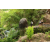 Team 10 / Raid l'Arbre Vert Amazones Bali - Trek