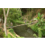 Team 52 / Raid l'Arbre Vert Amazones Bali - Trek