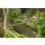 Team 21 / Raid l'Arbre Vert Amazones Bali - Trek