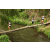 Team 13 / Raid l'Arbre Vert Amazones Bali - Trek
