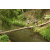 Team 40 / Raid l'Arbre Vert Amazones Bali - Trek