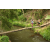 Team 40 / Raid l'Arbre Vert Amazones Bali - Trek