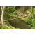 Team 58 / Raid l'Arbre Vert Amazones Bali - Trek