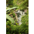 Team 40 / Raid l'Arbre Vert Amazones Bali - Trek