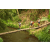 Team 41 / Raid l'Arbre Vert Amazones Bali - Trek