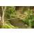 Team 41 / Raid l'Arbre Vert Amazones Bali - Trek