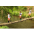Team 28 / Raid l'Arbre Vert Amazones Bali - Trek