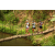 Team 22 / Raid l'Arbre Vert Amazones Bali - Trek