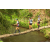 Team 59 / Raid l'Arbre Vert Amazones Bali - Trek