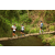 Team 50 / Raid l'Arbre Vert Amazones Bali - Trek