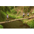 Team 25 / Raid l'Arbre Vert Amazones Bali - Trek
