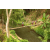 Team 05 / Raid l'Arbre Vert Amazones Bali - Trek