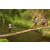 Team 05 / Raid l'Arbre Vert Amazones Bali - Trek