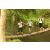 Team 16 / Raid l'Arbre Vert Amazones Bali - Trek