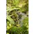 Team 05 / Raid l'Arbre Vert Amazones Bali - Trek