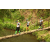 Team 19 / Raid l'Arbre Vert Amazones Bali - Trek
