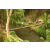 Team 14 / Raid l'Arbre Vert Amazones Bali - Trek