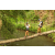 Team 18 / Raid l'Arbre Vert Amazones Bali - Trek