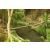 Team 67 / Raid l'Arbre Vert Amazones Bali - Trek