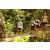 Team 67 / Raid l'Arbre Vert Amazones Bali - Trek