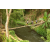 Team 30 / Raid l'Arbre Vert Amazones Bali - Trek