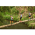 Team 30 / Raid l'Arbre Vert Amazones Bali - Trek