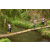 Team 43 / Raid l'Arbre Vert Amazones Bali - Trek