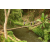 Team 64 / Raid l'Arbre Vert Amazones Bali - Trek