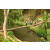 Team 60 / Raid l'Arbre Vert Amazones Bali - Trek