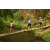 Team 56 / Raid l'Arbre Vert Amazones Bali - Trek