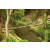 Team 53 / Raid l'Arbre Vert Amazones Bali - Trek
