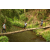 Team 53 / Raid l'Arbre Vert Amazones Bali - Trek