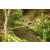 Team 23 / Raid l'Arbre Vert Amazones Bali - Trek